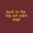 back_to_big_cat