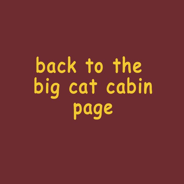 back_to_big_cat.jpg