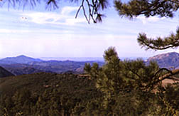 julian california big cat cabin view
