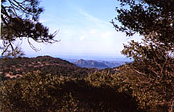 julian california big cat cabin view too