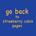 back_to_strawberry