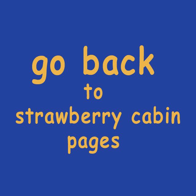 back_to_strawberry.jpg