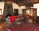 big_cat_great_room