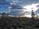 one_winter_storm