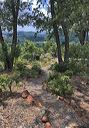 view_rock_trail
