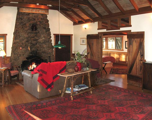 big_cat_great_room.jpg
