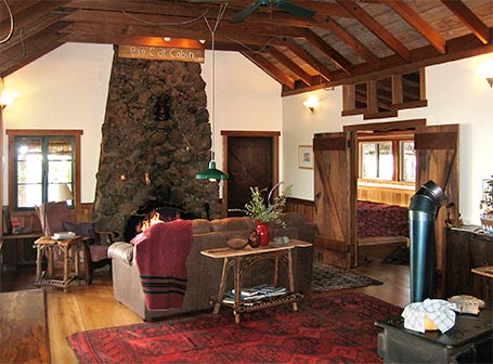 julian california big cat cabin great room