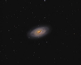 m64