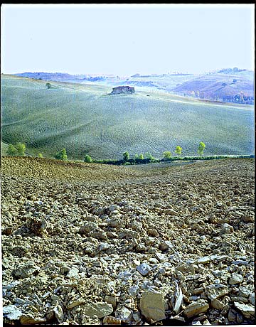 hills_of_buonconvento