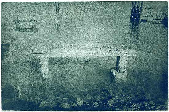 water_s_edge