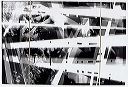 time_lapse__30x40