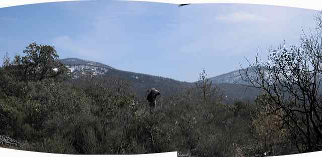 nan_and_view_march_04.jpg