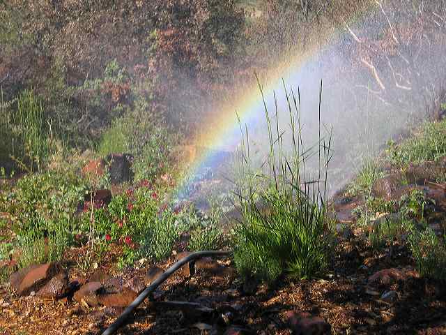 watering-bow.jpg
