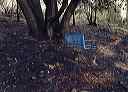 blue_swing