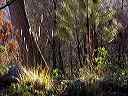 more_green__4_december__03