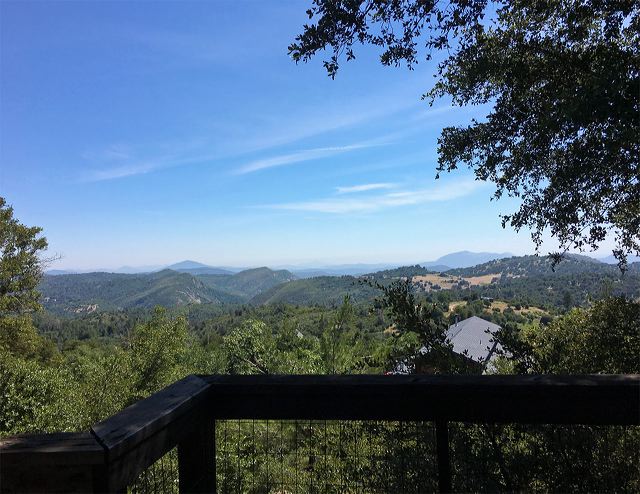 view_from_the_love_seat.jpg